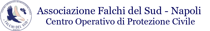 Falchi del Sud - Logo