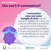 Il coronavirus