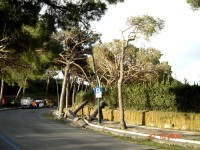 Le Emergenze &raquo; Vento forte a Napoli (2004)